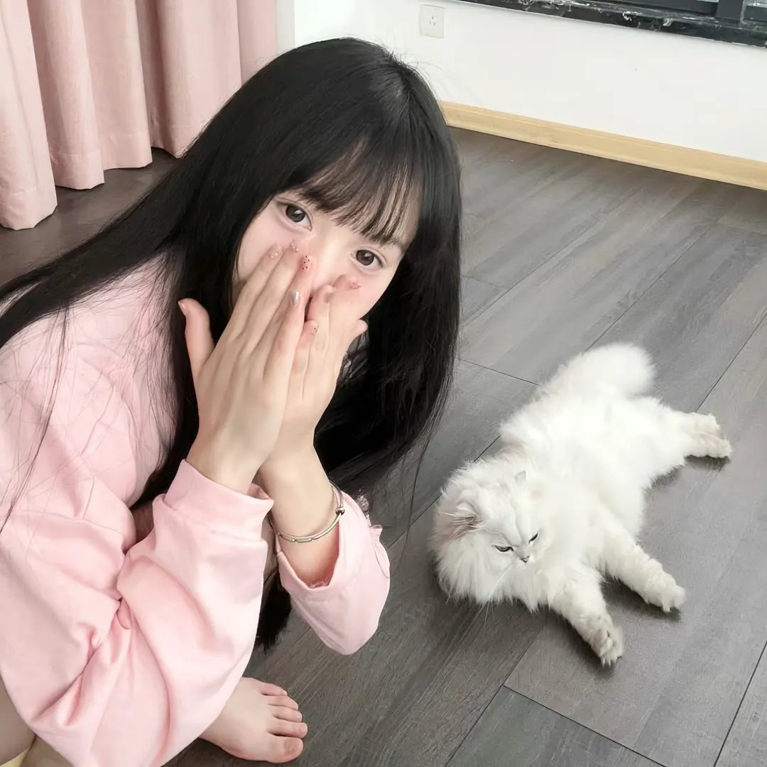 剧照1